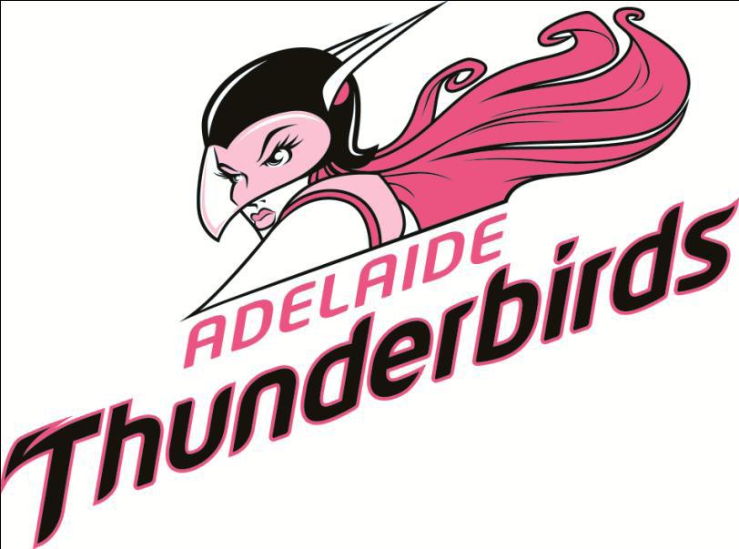 2024 Thunderbirds Teams Login Staci Elladine